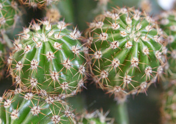 Similar image 1426182