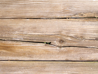 Similar image 1426198