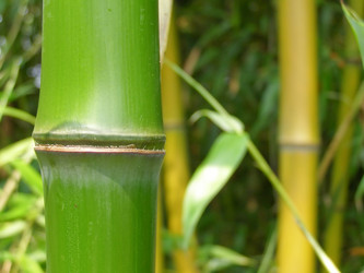 Similar image 1426199