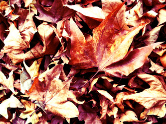 Similar image 1426224