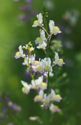 Similar image 1426296