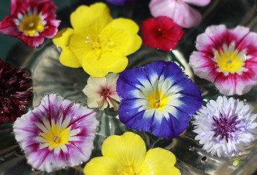 Similar image 1426298