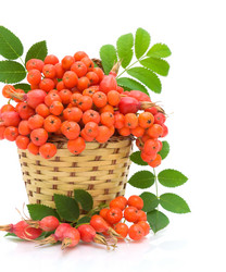 Similar image 1426301