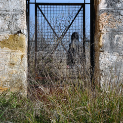 Similar image 1426342