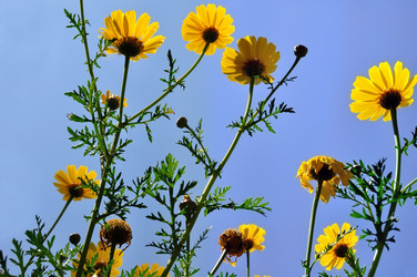 Similar image 1426413