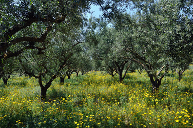 Similar image 1426534