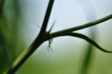 Similar image 1426543