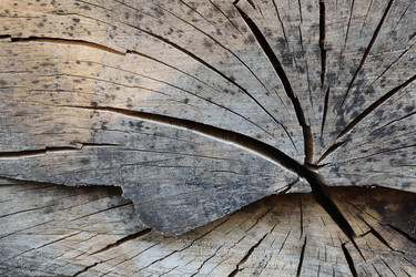 Similar image 1426868