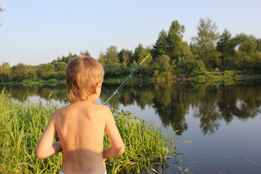 Similar image 1426887