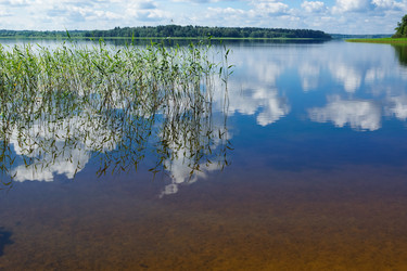 Similar image 1426909