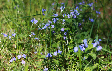 Similar image 1426968