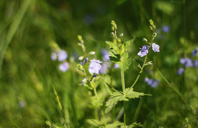 Similar image 1426969