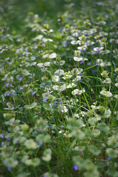 Similar image 1426970