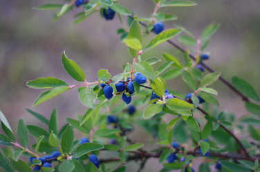 Similar image 1426971