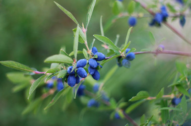 Similar image 1426978