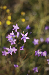 Similar image 1426979