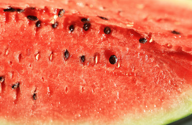 Similar image 1426980