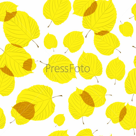Фотография на тему Бесшовная текстура из желтых листьев липы на белом фоне  | PressFoto