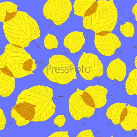 Фотография на тему Бесшовная текстура из желтых листьев липы на синем фоне  | PressFoto