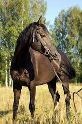 Similar image 1427002