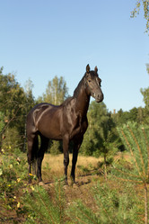 Similar image 1427004