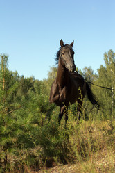 Similar image 1427007