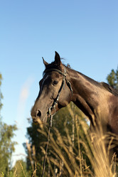 Similar image 1427009