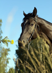 Similar image 1427010