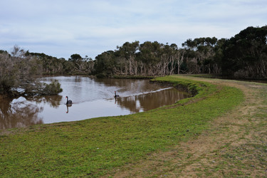 Similar image 1427081