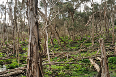 Similar image 1427082