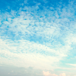 Similar image 1427113