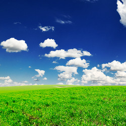 Similar image 1427134