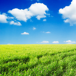 Similar image 1427135