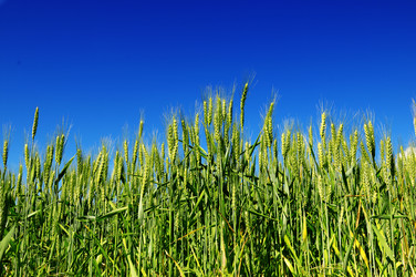 Similar image 1427160