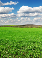 Similar image 1427170