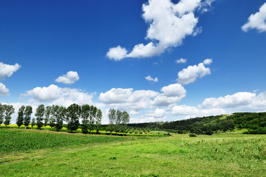 Similar image 1427172