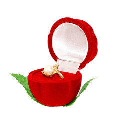 Similar image 1427174