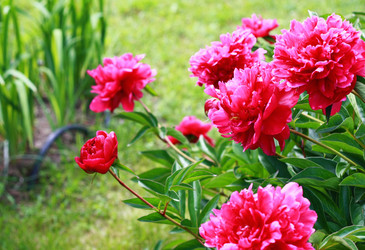 Similar image 1427214