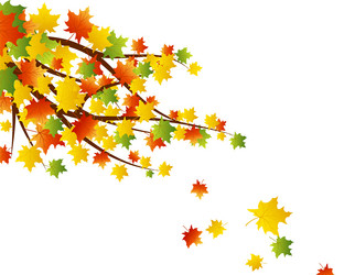 Similar image 1427261