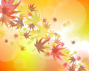 Similar image 1427270