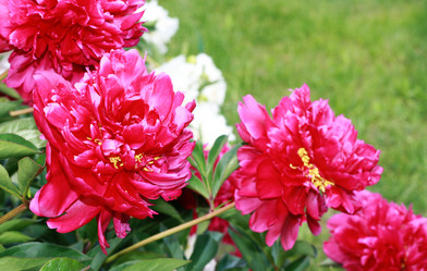 Similar image 1427272