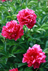 Similar image 1427295