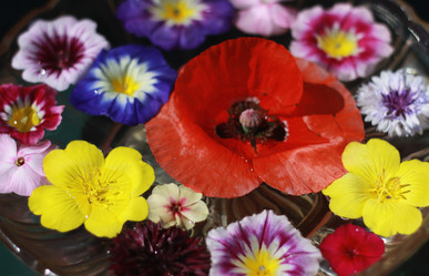 Similar image 1427297