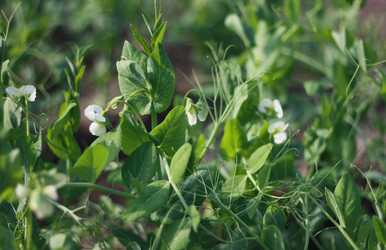 Similar image 1427298