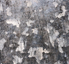 Similar image 1427304