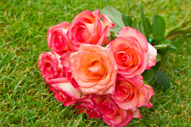 Similar image 1427320