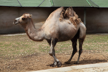 Similar image 1427332