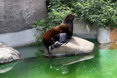 Similar image 1427339