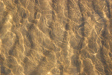 Similar image 1427343