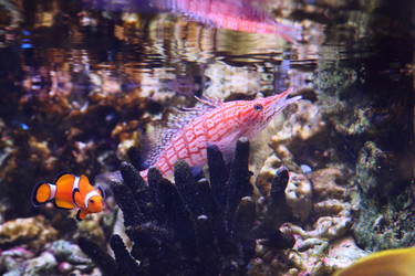 Similar image 1427352